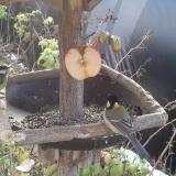 photo 2019-12-03 10-47-13