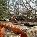 photo 2022-03-19 09-40-46