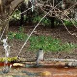 photo 2021-04-13 08-21-39 poszata