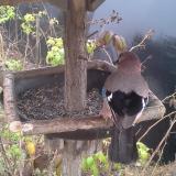 photo 2019-12-12 12-04-46