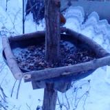 photo 2019-01-07 07-04-14