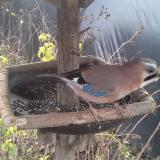 photo 2019-12-22 11-32-45