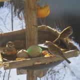 photo 2019-01-27 09-19-47