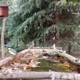 photo 2023-10-08 12-23-52