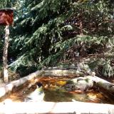 photo 2023-10-16 11-44-58