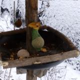 photo 2019-01-20 10-12-01