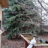 photo 2021-12-11 13-09-44