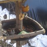 photo 2019-01-31 11-52-14