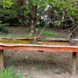 photo 2021-04-26 14-06-03