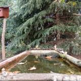 photo 2023-10-11 11-37-54