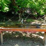 photo 2021-05-08 11-16-08