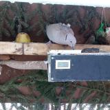 photo 2021-02-11 08-06-10