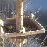 photo 2019-12-31 14-12-23