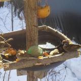 photo 2019-01-27 09-52-52