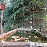 photo 2023-10-02 09-02-46