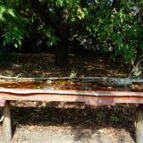 photo 2021-10-02 12-40-26