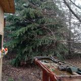 photo 2021-12-16 10-28-41