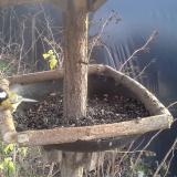 photo 2019-12-25 13-43-13