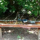 photo 2021-07-22 11-27-38