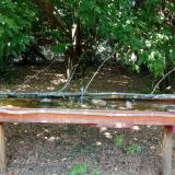 photo 2021-07-08 13-15-36