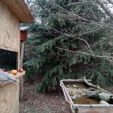 photo 2021-12-19 13-18-02