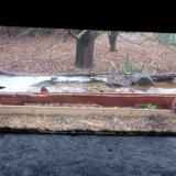 photo 2021-12-05 14-18-55