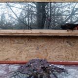 photo 2022-01-20 15-24-10