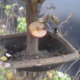 photo 2019-12-05 14-26-06