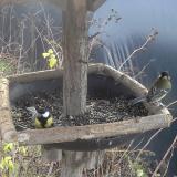 photo 2019-12-25 11-25-41