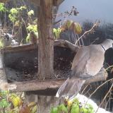 photo 2019-12-02 13-22-33