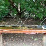 photo 2021-08-23 15-10-16