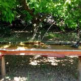 photo 2021-05-10 12-34-51