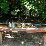 photo 2021-07-21 09-51-54