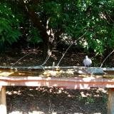 photo 2021-09-10 12-51-23