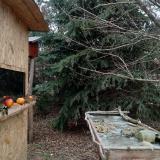 photo 2021-12-23 12-36-43