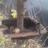 photo 2019-12-21 11-52-21