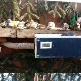 photo 2021-02-13 10-47-35