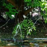 photo 2021-05-26 11-49-33 poszata