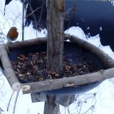 photo 2019-01-08 07-58-38