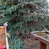 photo 2021-11-12 15-18-05