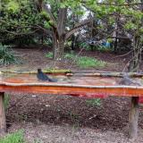 photo 2021-04-18 18-24-58