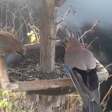 photo 2019-12-25 09-14-35