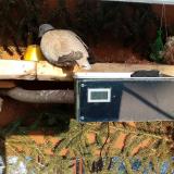 photo 2021-02-11 15-36-57