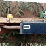 photo 2021-02-10 11-48-49