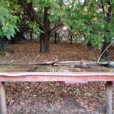 photo 2021-10-03 06-36-38