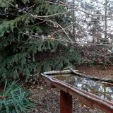 photo 2021-11-15 14-59-54