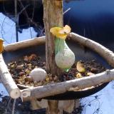 photo 2019-01-15 09-49-38