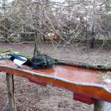 photo 2021-03-16 06-42-09