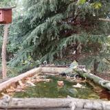 photo 2023-10-04 09-26-05