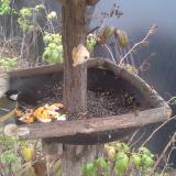 photo 2019-12-07 14-08-00